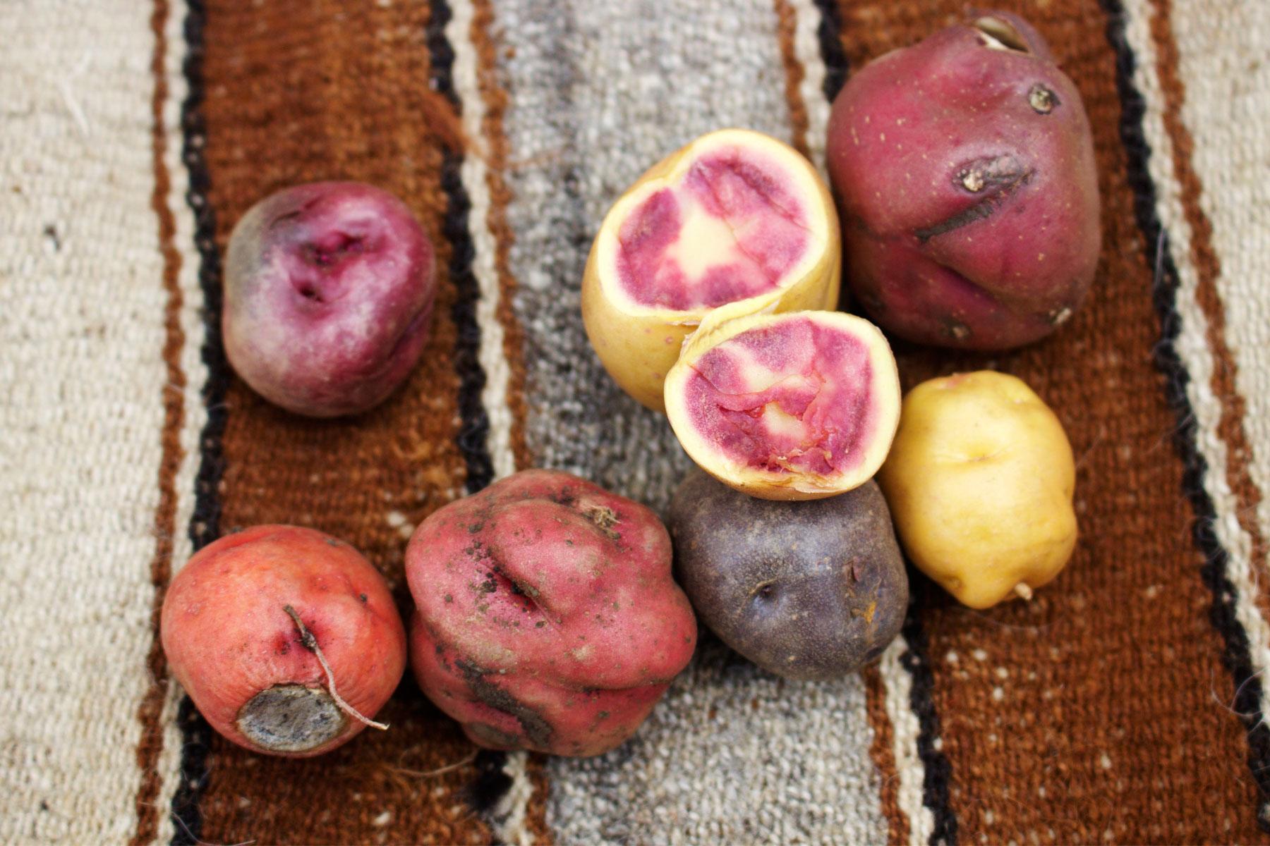 Eat-Drink-Peru-Potatoes
