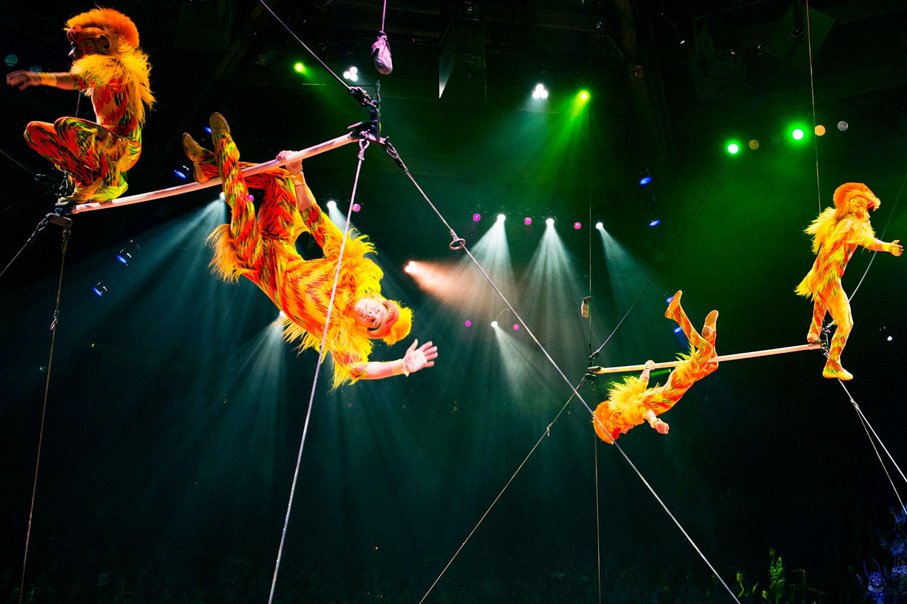 Ultimate-Things-To-Do-Walt-Disney-World-Watch-The-Festival-Of-The-Lion-King