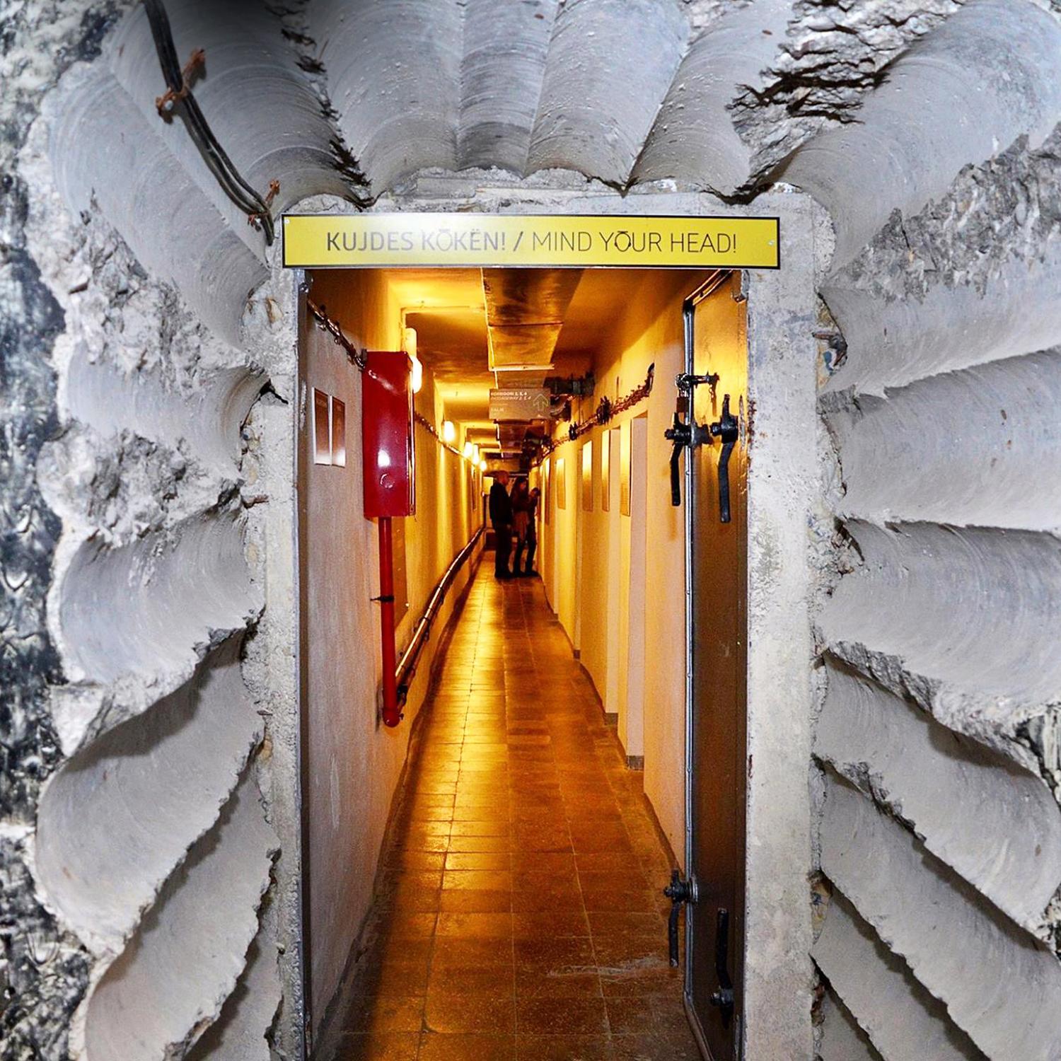 Luxury Bunkers: Secrecy, Safety, And Style - pm9gi1l