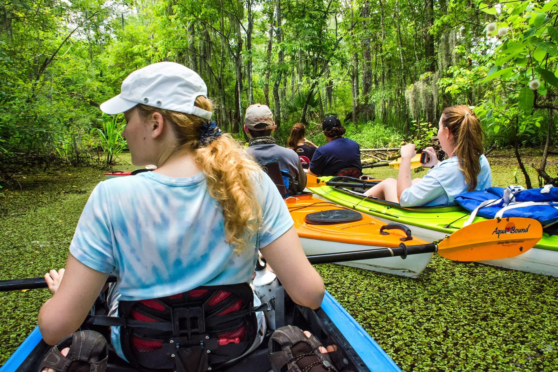 Ultimate-New-Orleans-Swamp-Tour