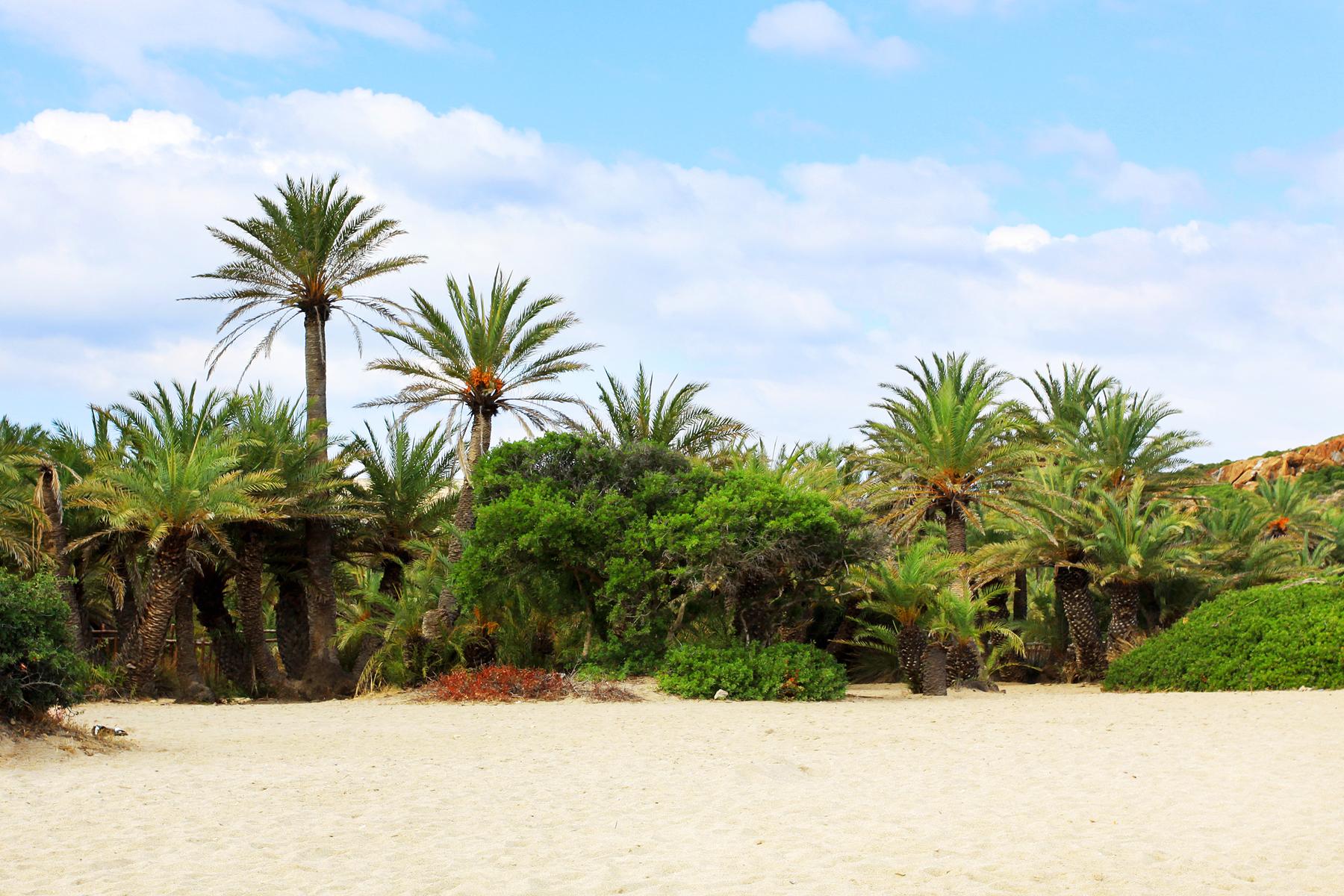 Greece-Best-Beaches-Vai-Siteia-Crete-1