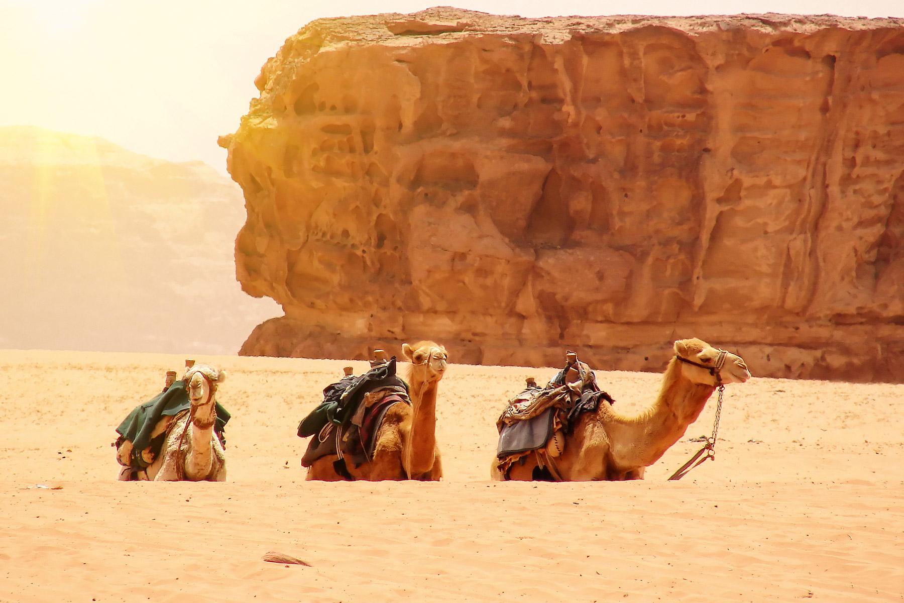 10-Things-Before-Visiting-Jordan-Always-Sunny