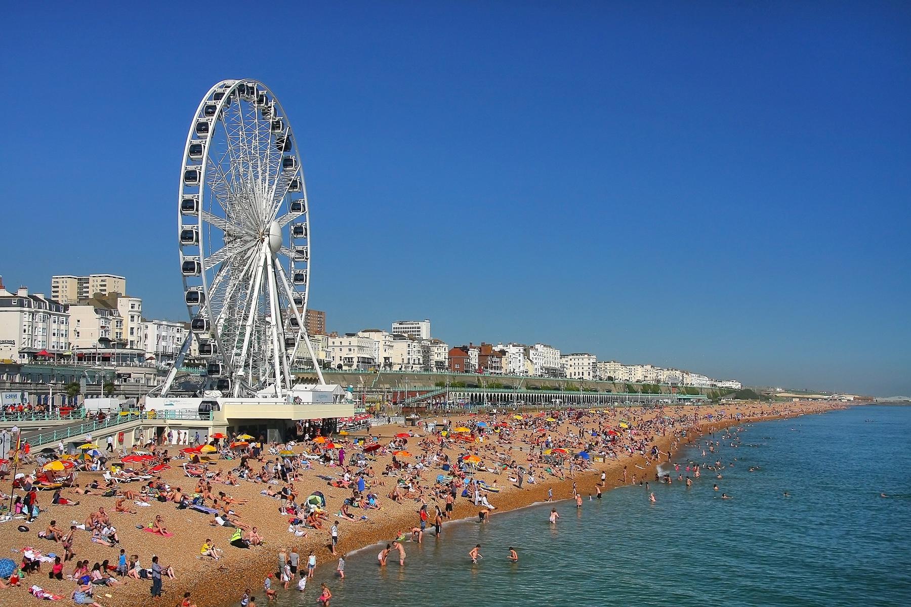 I-Got-The-Plague-Brighton-England-1