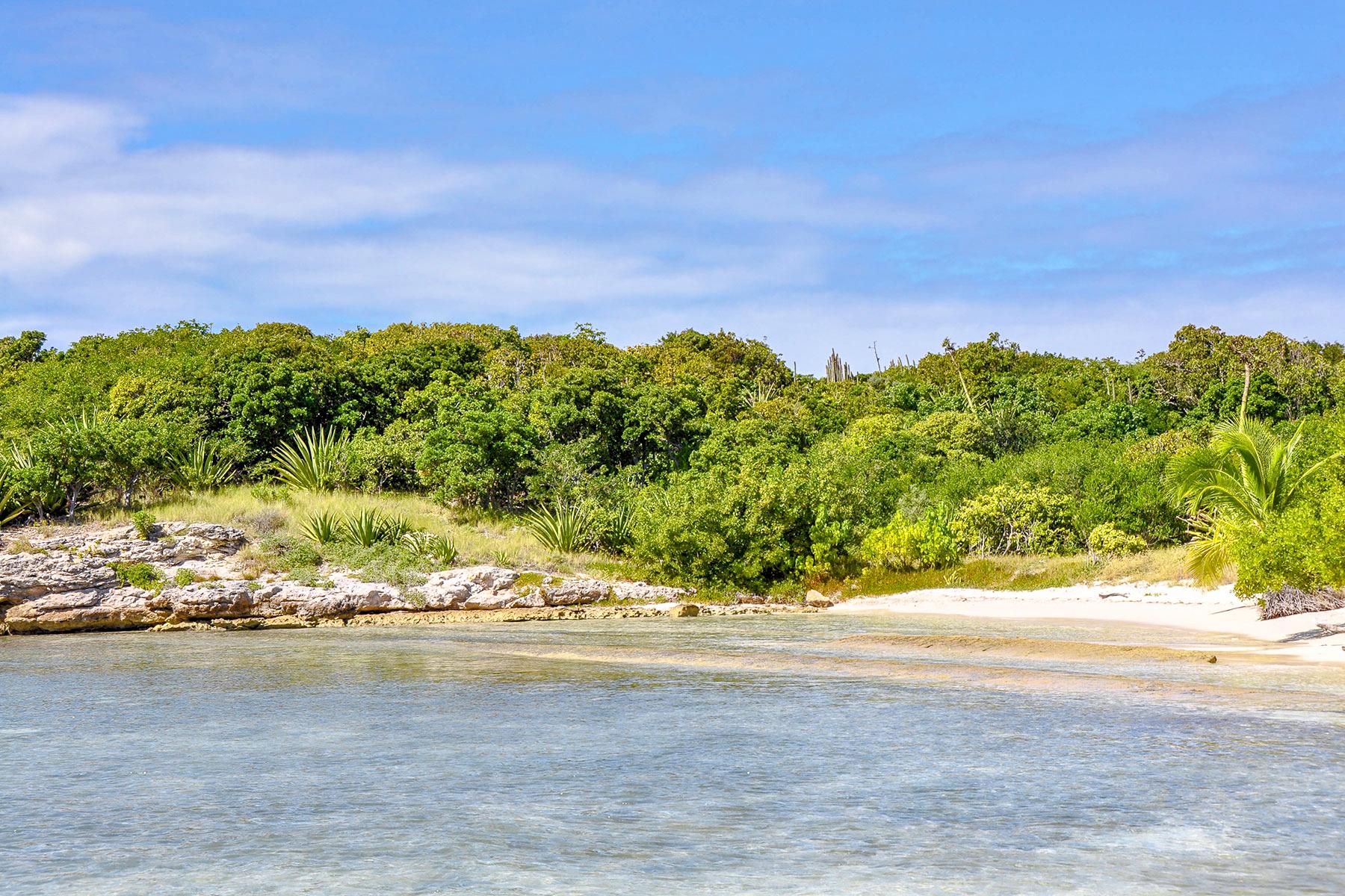 07_Antigua_Beaches_GreatBird_shutterstock_1048279003