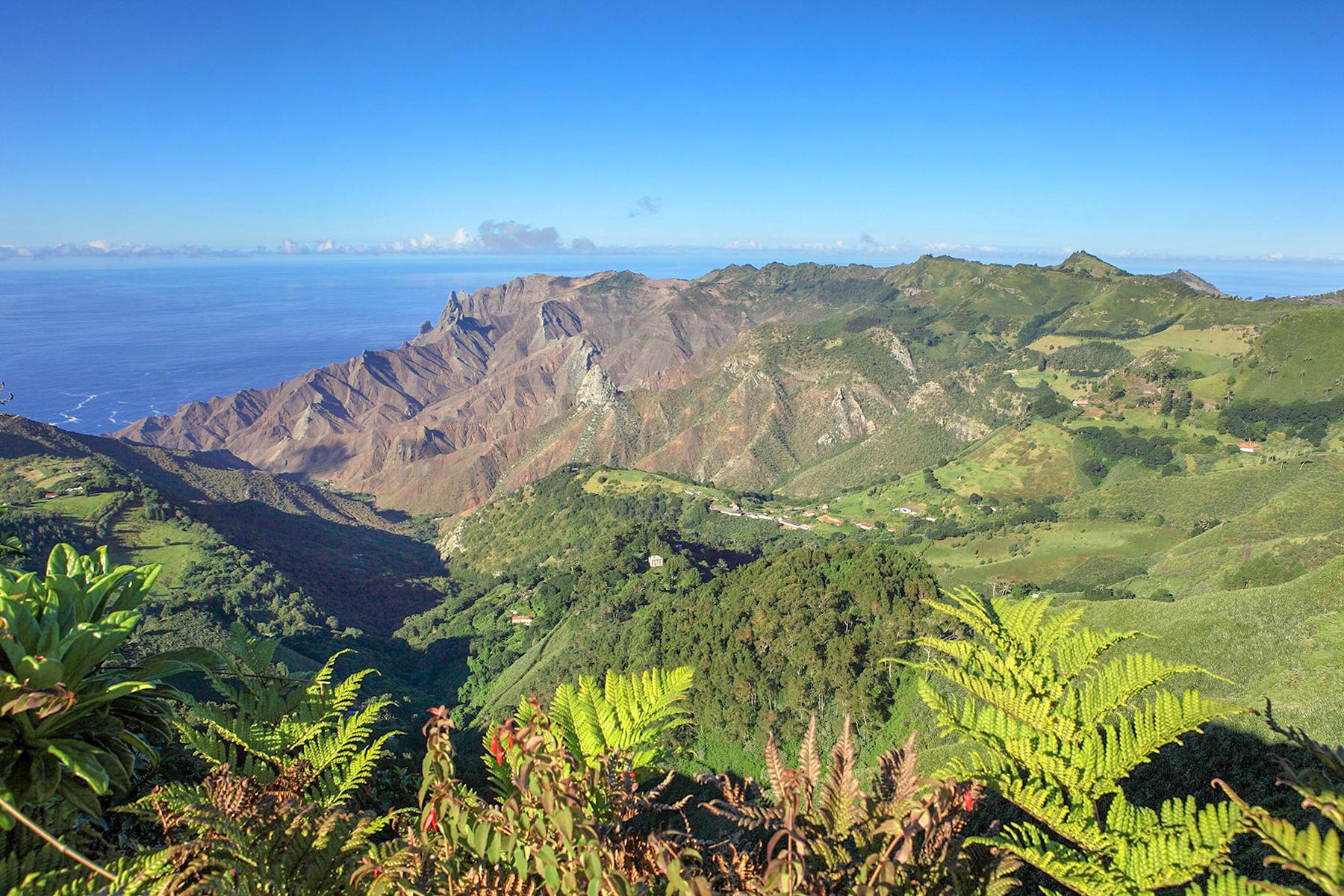 tour st helena island