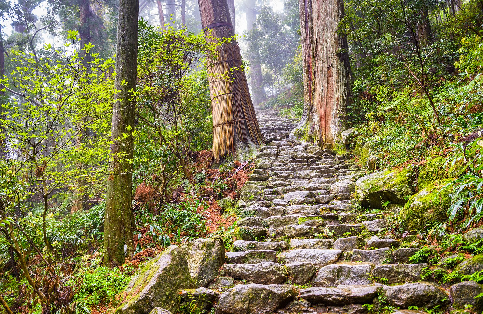 kumano kodo trek japan