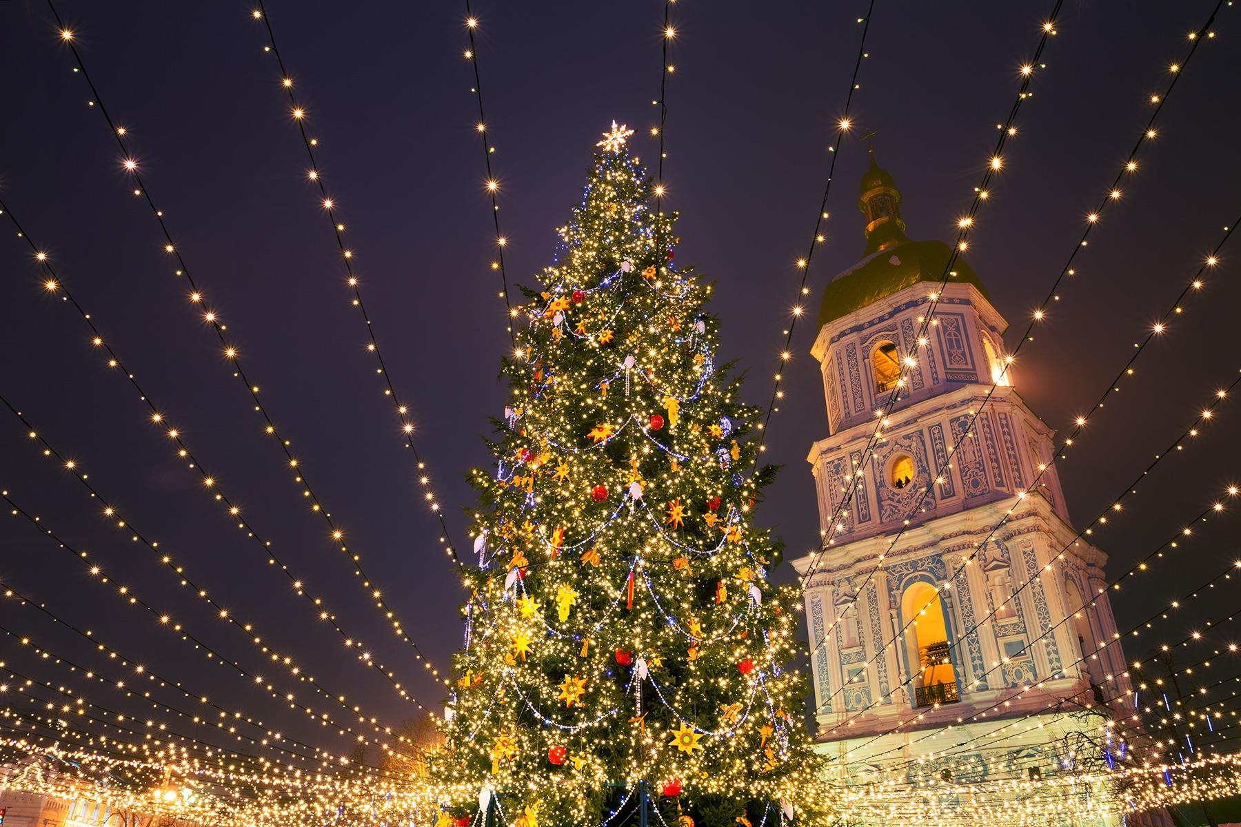 The Most Beautiful Christmas Trees Around the World