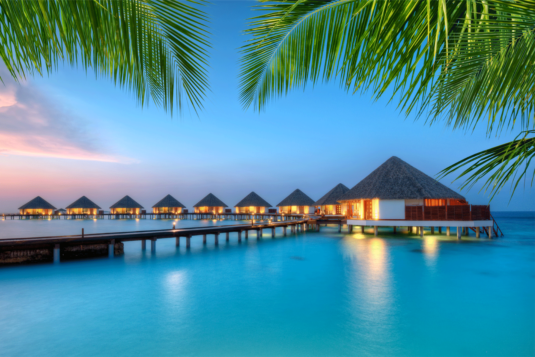 tourism deaths in maldives 2022